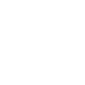 SignalChip